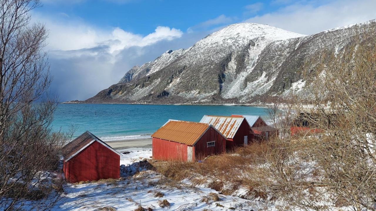 Holiday Home On Senja Senjahopen المظهر الخارجي الصورة